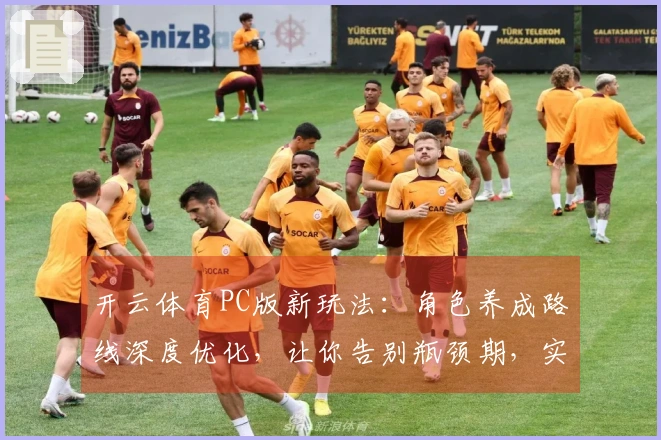 开云体育PC版新玩法：角色养成路线深度优化，让你告别瓶颈期，实力飞升！