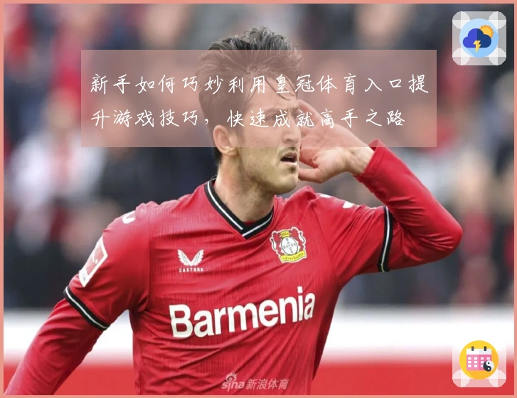 新手如何巧妙利用皇冠体育入口提升游戏技巧，快速成就高手之路